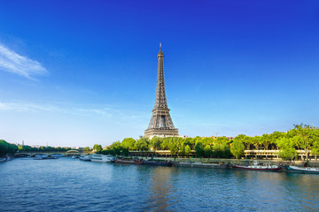 Wall Mural - view of paris with eiffel tower
