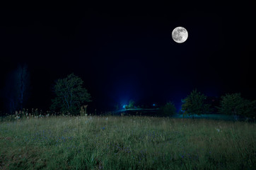 Wall Mural - Mountain Road through the forest on a full moon night. Scenic night landscape of dark blue sky with moon