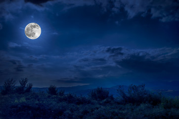 Mountain Road through the forest on a full moon night. Scenic night landscape of dark blue sky with moon