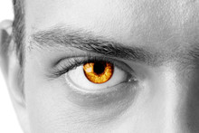 File:Amber-colored-eye.jpg - Wikimedia Commons