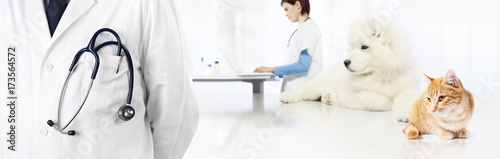 veterinary-with-stethoscope-in-pocket-dog-and-cat-vet-clinic-banner-concept
