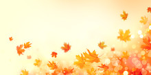 Autumn Background. Fall Abstract Background With Colorful Leaves And Sun Flares