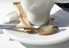 Detail Of Coffee Cup And Flying Bee