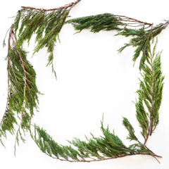 Wall Mural -  Christmas, New Year background. Square frame of coniferous branches of juniper. Top view, flat design.