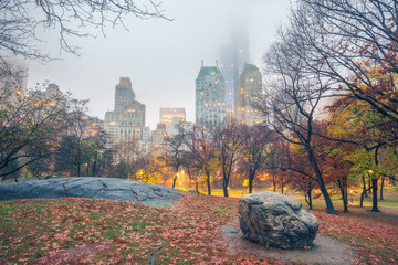 Fototapete - Central park at rainy morning, New York City, USA
