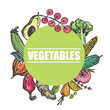 © jane55 - Hand drawn doodle vegetables
