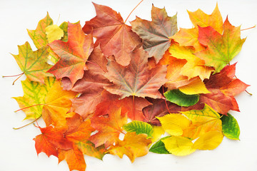 autumn leaves background