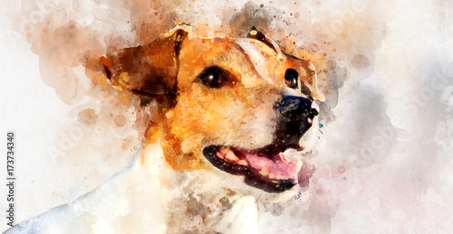 Fotografie, Obraz Digital watercolor painting of Jack Russell Terrier dog