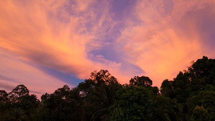 Vivid beautiful sunset clouds and trees