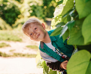 The small blond boy is hiding between the leaves.Nature green background.