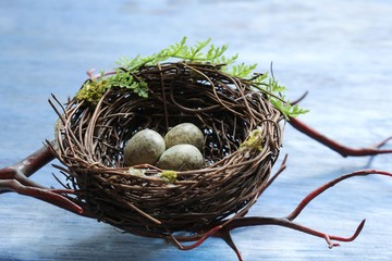 Easter background with Bird nest and eggs, selective focus