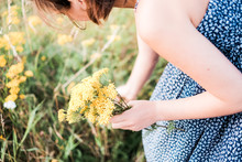 Young Woman Picking Yellow Flowers