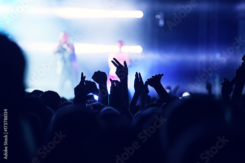 Zdjęcie XXL Wiwatujący tłum na koncercie