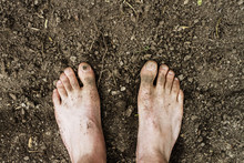 Dirty Barefoot In Soil