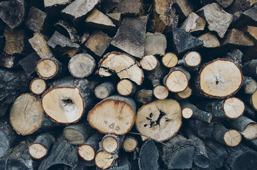 Close-up of pile of firewood logs