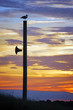 © Stephen - Loudspeaker and Gull in Opposition