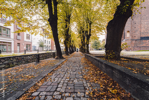 Zdjęcie XXL chodnik w mieście podczas jesieni