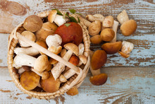 Variety Of Uncooked Wild Forest Mushrooms In A Basket On A Wooden Old Board. Top View.