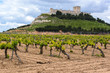 Vineyard with Castle of Penafiel as background, Valladolid Province, Spain