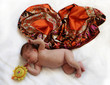 Cute sleeping newborn baby with butterfly wings on white background.