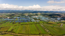 Aerial View Of Flooded Fields.