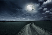 Countryroad Night Bright Illuminated Large Moon