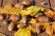 Glands et feuilles de chêne sur table en bois
