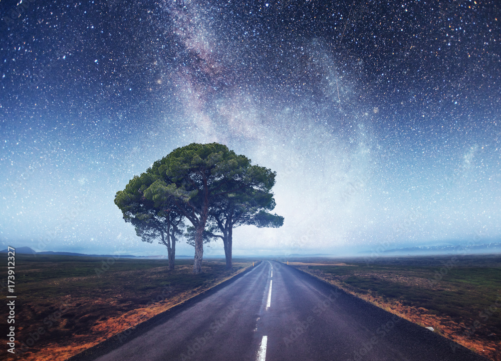 Asphalt road and lonely tree under a starry night sky and the Milky Way ...