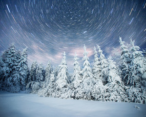 Wall Mural - starry sky in winter snowy night. fantastic milky way in the New Year's Eve. In anticipation of the holiday. Dramatic scene. Carpathian. Ukraine