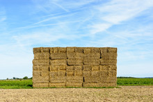 A Wall Of Rectangular Bales Of Straw Stacked In A Field Before Being Transported To Shelter.