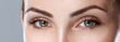 Closeup shot of woman eye with day makeup. Long eyelashes