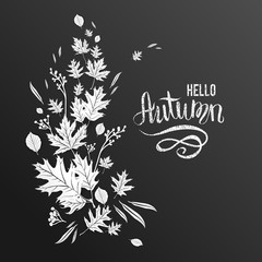 black background and leaves