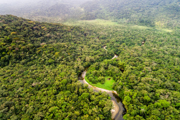 Wall Mural - Aerial View of Amazon Rainforest, South America