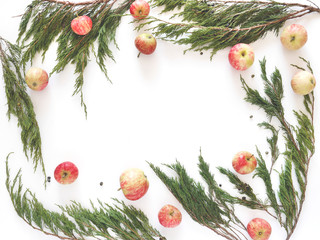 Wall Mural - Juniper branches and red apples isolated on white background. Christmas, New Year background. Frame of coniferous branches of juniper. Top view, flat design.	