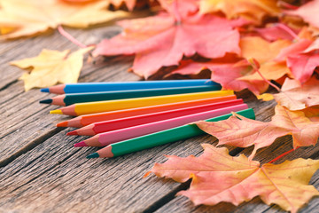Canvas Print - Autumn creative art painting backgrounf with pencils and maple leaves