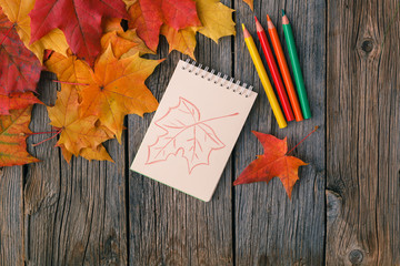 Canvas Print - Autumn creative art painting backgrounf with pencils and maple leaves
