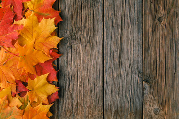 Canvas Print - Decorative backgrounв frame from fall maple leaves