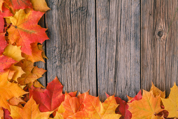 Canvas Print - Decorative backgrounв frame from fall maple leaves
