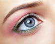 © Serg Zastavkin - Closeup macro image of human woman eye with pink and green makeup