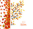 © Big Pearl - Autumn background with colorful leaves. Thanksgiving Design
