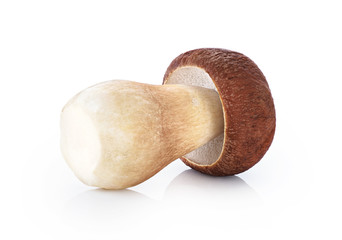 Wall Mural - Boletus edulis (king bolete) isolated on white background.