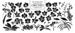 Set of isolated silhouette orchid in 40 styles. Cute hand drawn vector illustration in white outline and black plane.