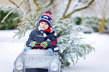 Wall Mural - Funny little smiling kid boy driving toy car with Christmas tree.