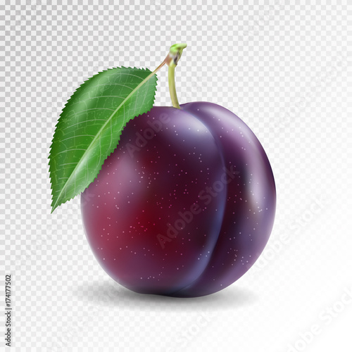 Fotografía Ripe plum with green leaves