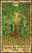 Dryar Or Forest Nymph. Minor Arcana Tarot Card. Queen Of Pentacles