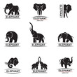 monochrome collection of elephant logos
