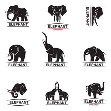 Monochrome Collection Of Elephant Logos