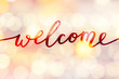 © redcollegiya - welcome vector lettering