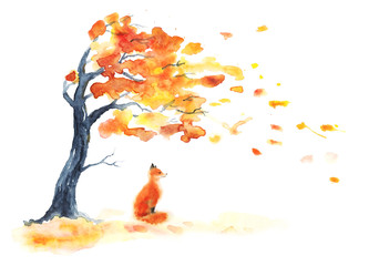 Watercolor autumn tree with yellow and orange leaves and red fluffy cute fox on white. Leaf fall with wind on white. Little sitting foxy. Hand drawing illustration.