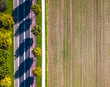 Drone view of a straight road with a cycling path in rural area among trees and fields with visible tractor tracks